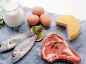 Продукты богатые белком