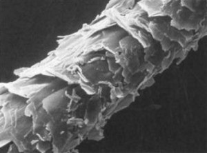 поврежденные волосы