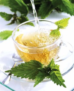 отвар из крапивы для волос